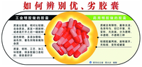 毒胶囊事件(社会热点事件)