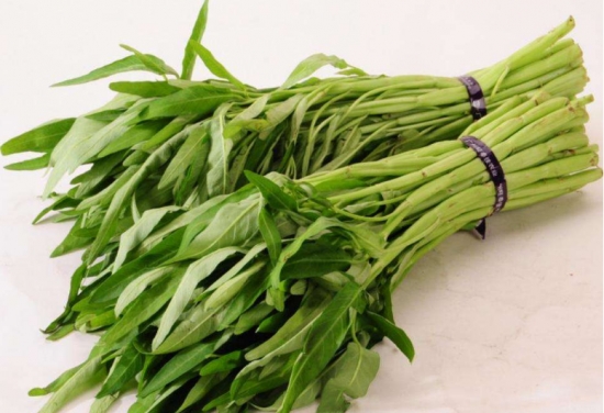 蕹菜(旋花科番薯属植物)