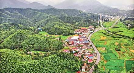 安吉县(浙江省湖州市辖县)