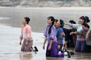 望海的女人(汪群雅执导电影)
