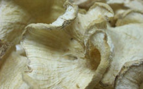 野葛根(多年生豆科类藤本植物)