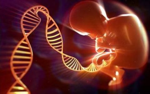 基因决定论(生命伦理研究方法)