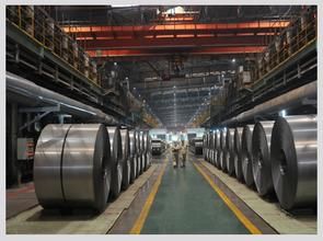 武汉钢铁（集团）公司(钢铁制造公司)