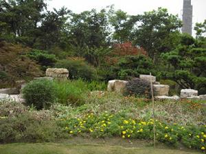 吴泾镇(上海市闵行区下辖镇)