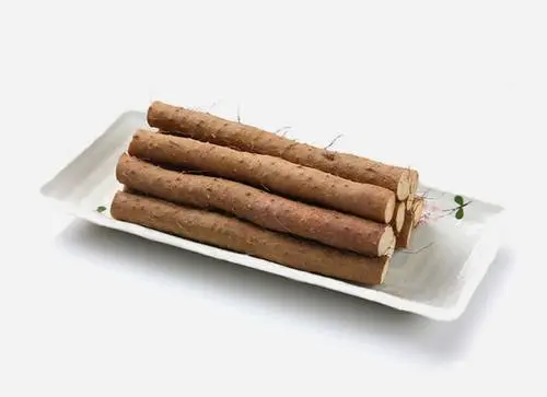 铁棍山药(珍贵的中药材)