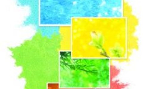 性格色彩学(乐嘉创立的心理学科)