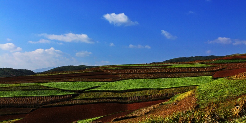 宁南县(四川省凉山彝族自治州辖县)