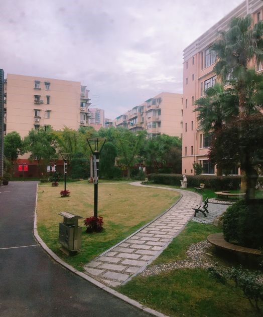 青云中学(上海市素质教育实验基地)