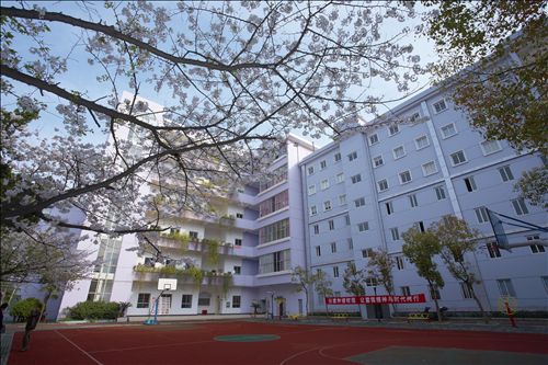 湖北艺术职业学院(湖北省高职高专人才培养工作水平优秀院校)