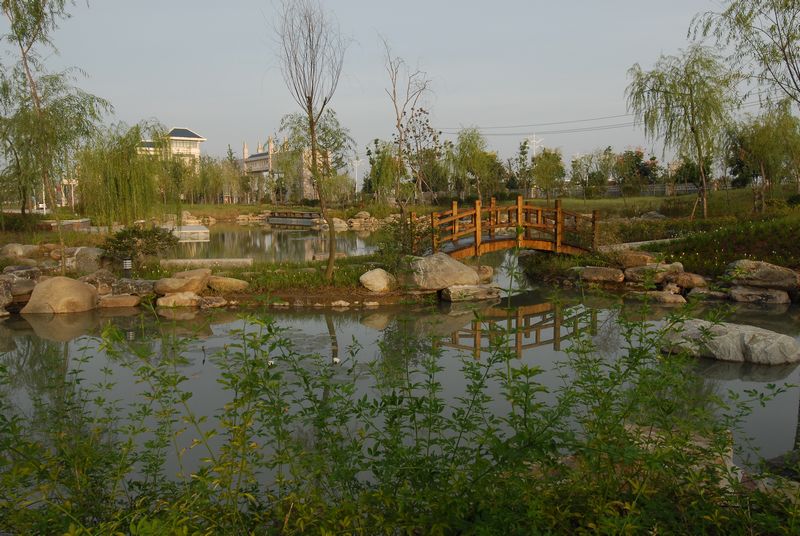 襄阳五中(湖北省公立高中)