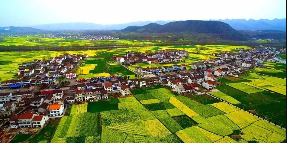 西乡县(陕西省汉中市辖县)