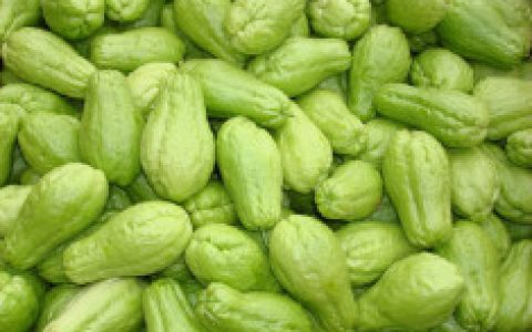 佛手瓜(葫芦科佛手瓜属植物)