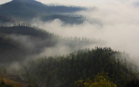 清涧县(陕西省榆林市辖县)