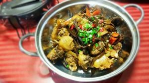 番茄炖牛腩(家常菜)