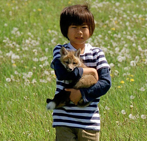 生命奇迹小狐狸(河野圭太执导的电影)