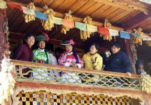 对偶婚(婚姻形式)