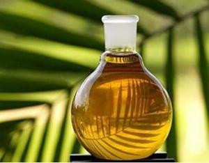 棕榈油(一种热带木本植物油)