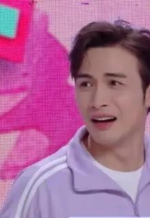 张彬彬(中国内地男演员)