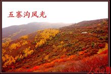 五寨县(山西省忻州市辖县)