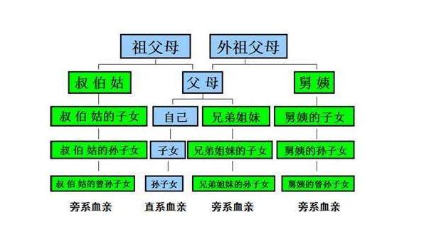 直系血亲(有直接血缘关系的亲属)