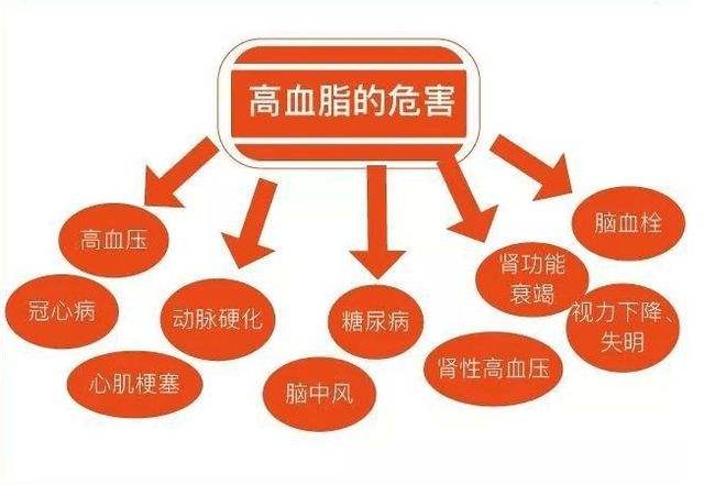 高血脂(疾病)