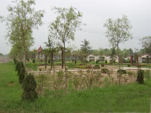原阳县(河南省新乡市辖县)