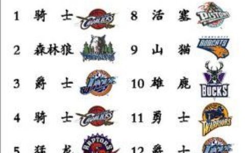 2011年NBA选秀(2011年美国职业篮球选秀大会)