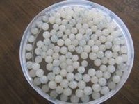 爆爆蛋(经济方便类食材)