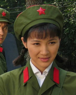 那些迷人的往事(2010年李小龙执导电视剧)
