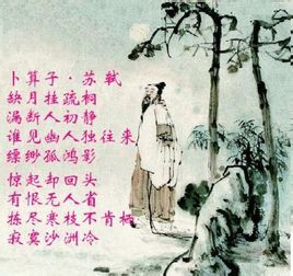 缺月挂疏桐(苏轼词中《卜算子》的第一句)