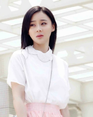 家有喜妇(2014年孙金辉执导电视剧)