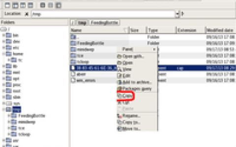 奶瓶破解(WIFI破解软件)
