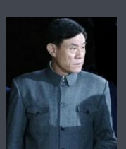 正义的重量(2013年高伟宁执导的电视剧)