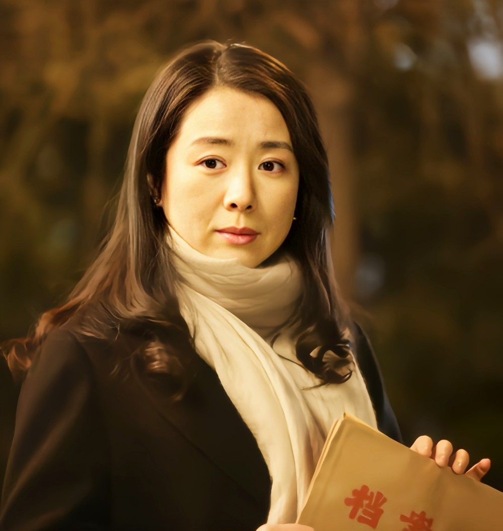 青果巷(2014年何政军主演电视剧)