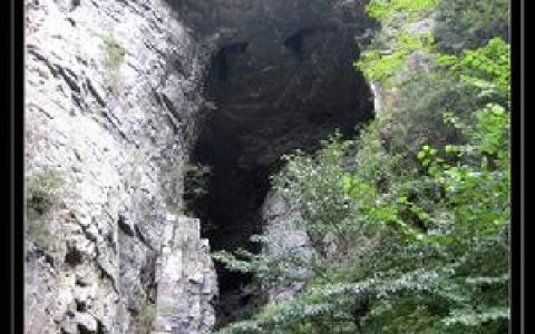 野外露营(户外生活方式)