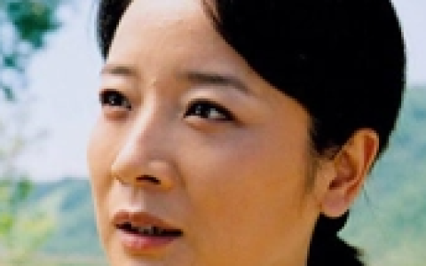 绿野艳阳红(2005年黄力加执导的电视剧)