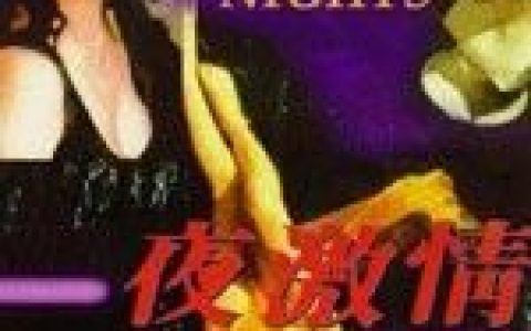 夜激情(情色电影)