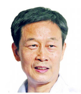 火树银花合(2009年凤凰出版社出版图书)
