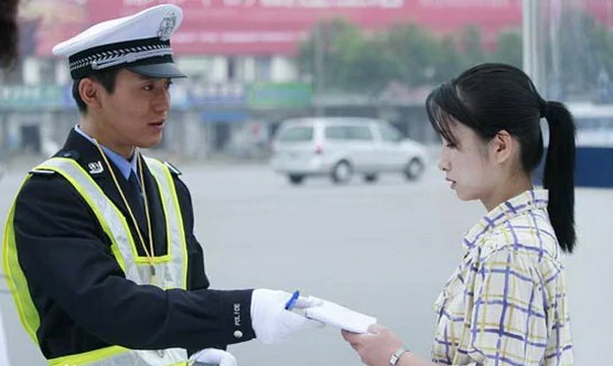 好想回家(2007年陶玲玲执导的电视剧)