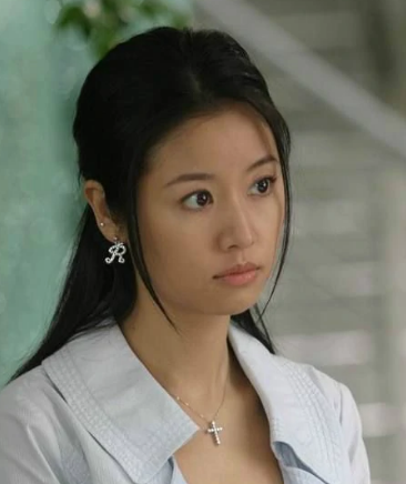 巴黎恋歌(2006年周晓鹏执导的电视剧)