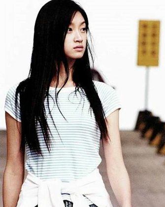 平淡生活(2004年沈佳妮主演的电视剧)