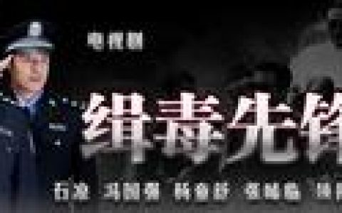 缉毒先锋(2009年惠楷栋、王军导演电视剧)