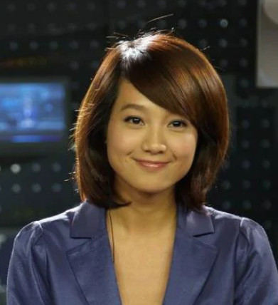 爱上女主播(2010年麦大杰执导的电视剧)