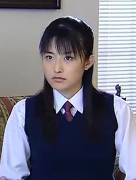 小留学生(2005年潘小扬执导的电视剧)