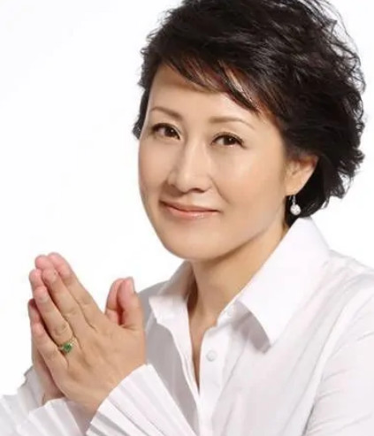 哎呀妈妈(2012年刘新、王义明执导的电视剧)