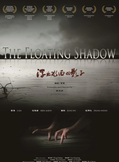 浮出水面的影子(2012年贾东朔执导的电影)