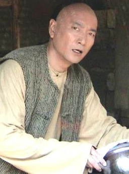 岭南药侠(2004年刘家成执导的电视剧)