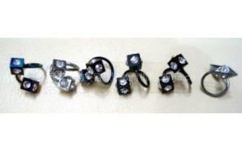 乳环(穿在胸部乳头部位的环状饰品)