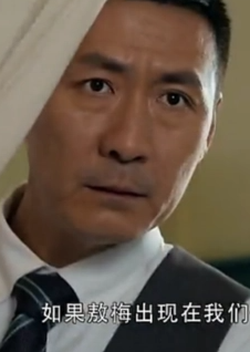 刀尖上的搏杀(2015年萧锋执导的电视剧)