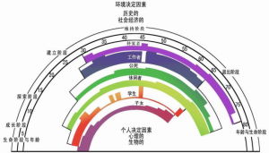 职业发展规划(自己或他人未来职业生涯规划)